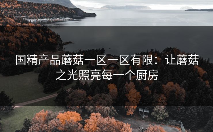 国精产品蘑菇一区一区有限：让蘑菇之光照亮每一个厨房