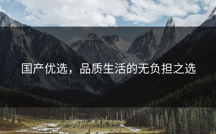 国产优选，品质生活的无负担之选